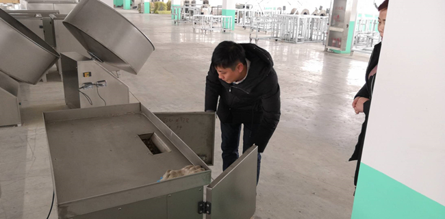 湯圓、元宵制陷機.jpg